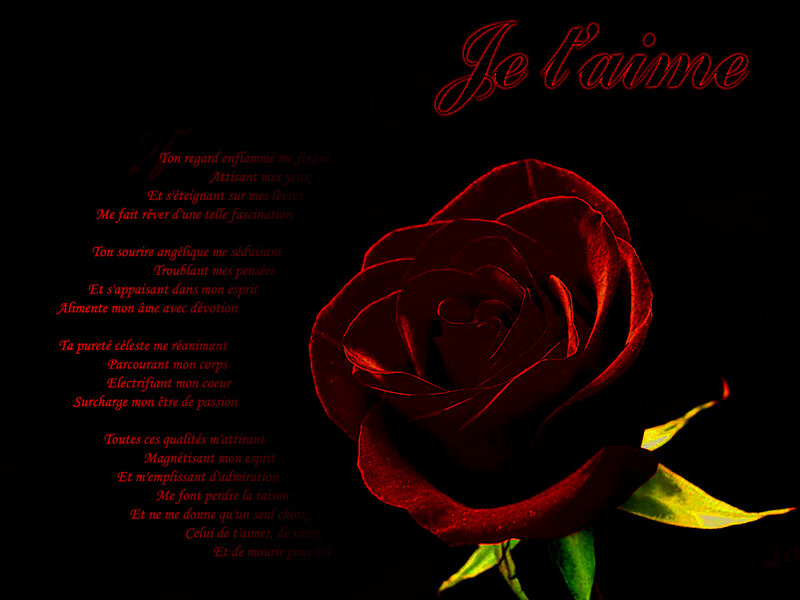 Red Rose with Poem — Black