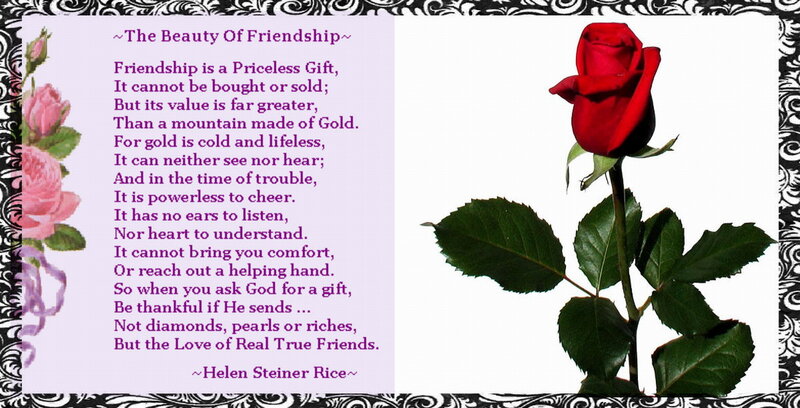 Red Rose with Poem — Sentimental, Illustration