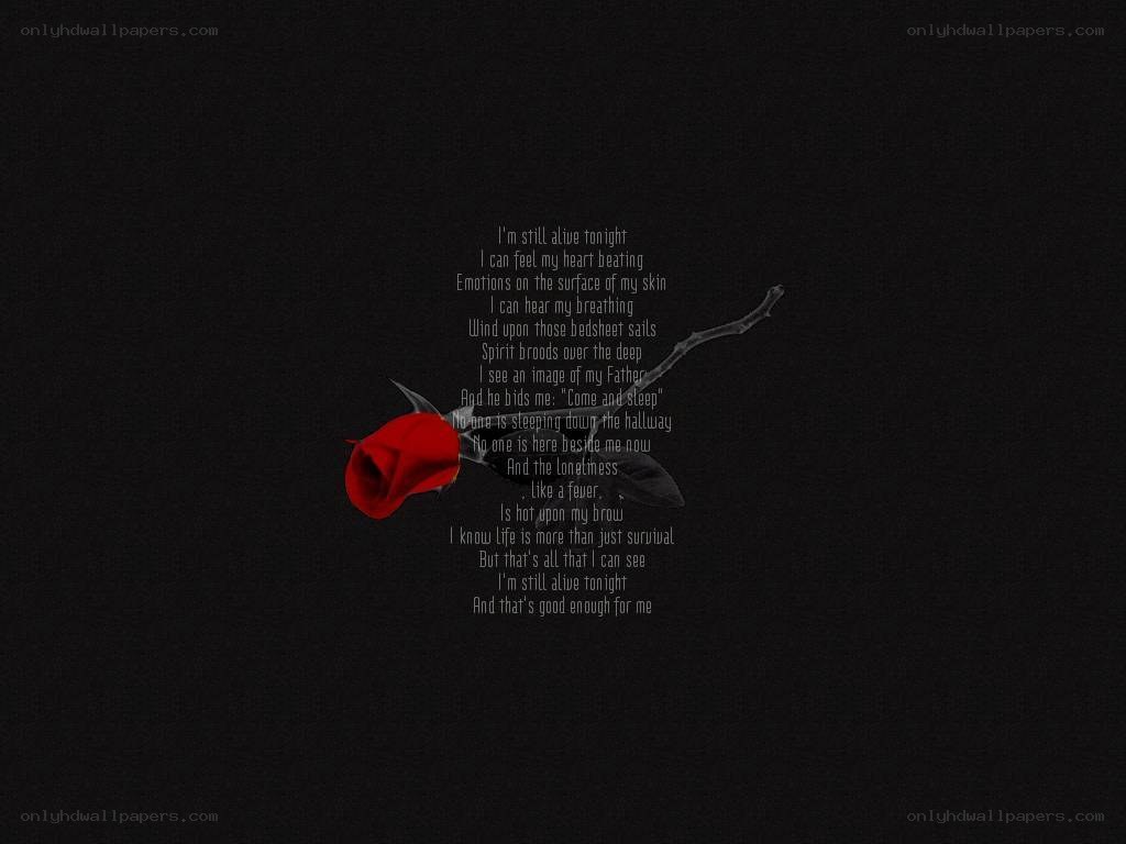 red rose with poem