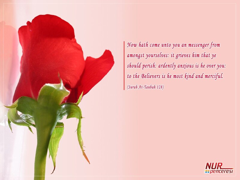 Red rose with Quranic verse