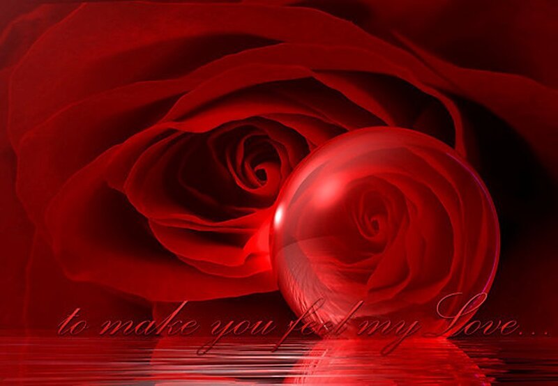Red Rose with Reflection — Romantic