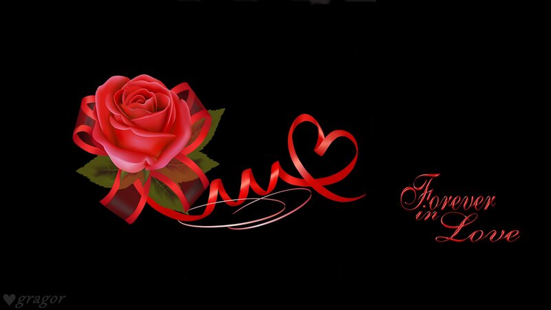 Red Rose with Ribbon — Black