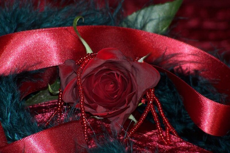 Red Rose with Ribbon — Dramatic