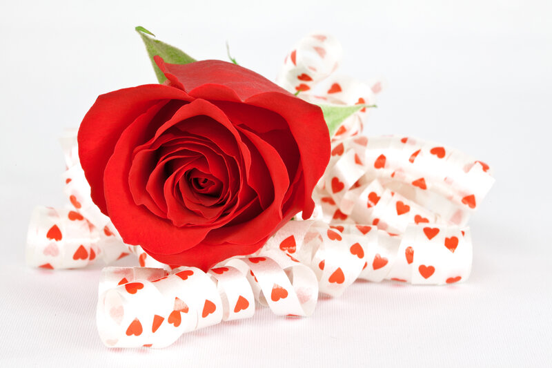 Red Rose with Ribbon — Romantic, Photograph, Green Leaf