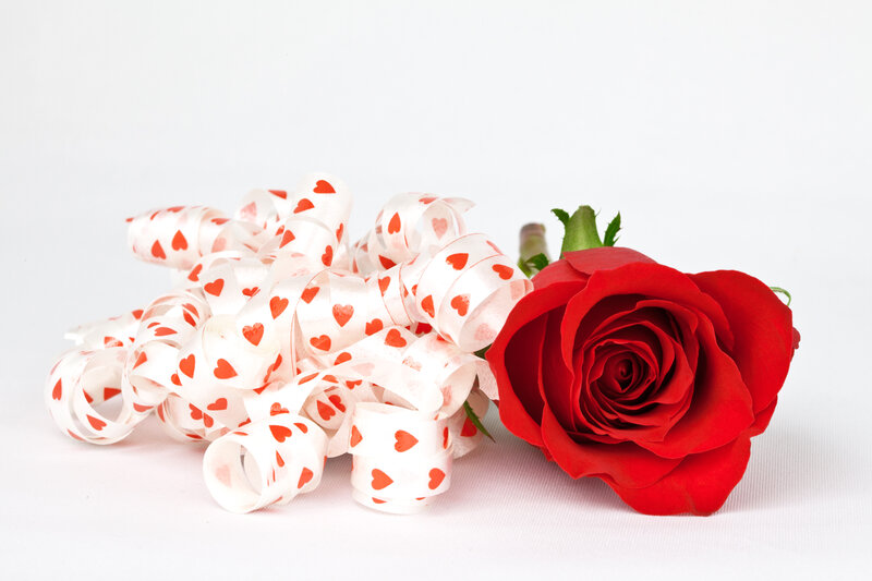 Red Rose with Ribbon — Romantic, Photograph, Heart Pattern