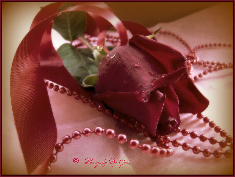 Red Rose with Ribbon — Romantic, Photograph