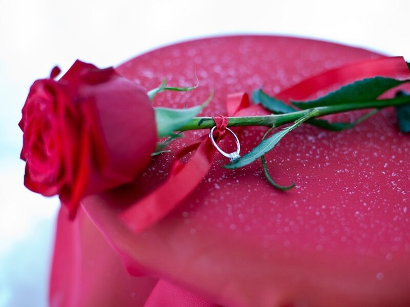 Red Rose with Ring — Romantic, Photograph