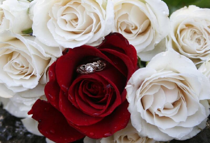 Red Rose with Ring