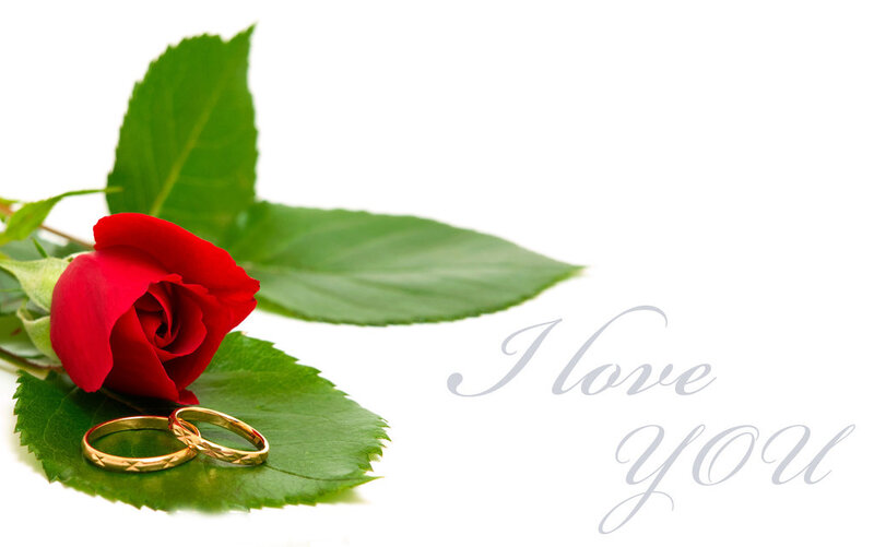 Red Rose with Rings — Romantic