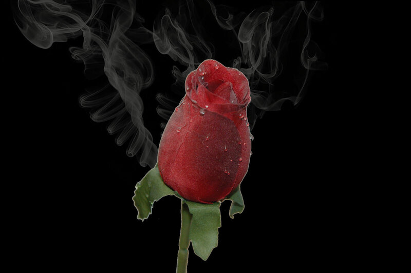 Red Rose with Smoke — Dramatic, Photograph, Drops