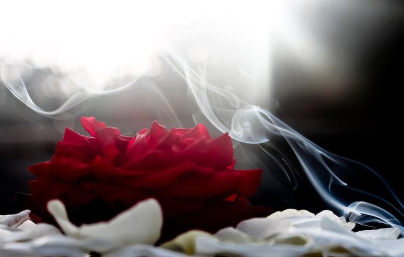 Red Rose with Smoke — Dramatic, Photograph, Petals