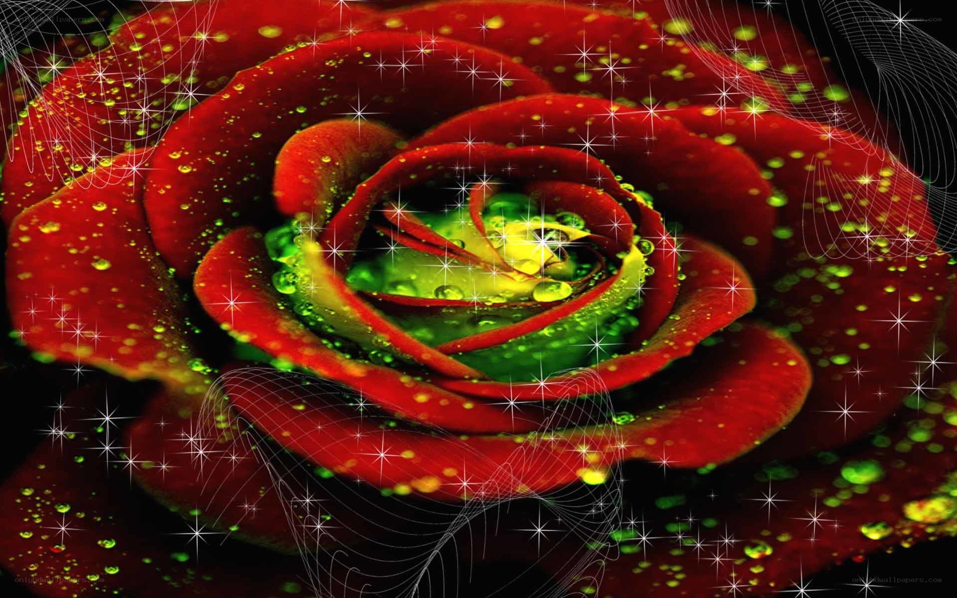 Red rose with sparkles