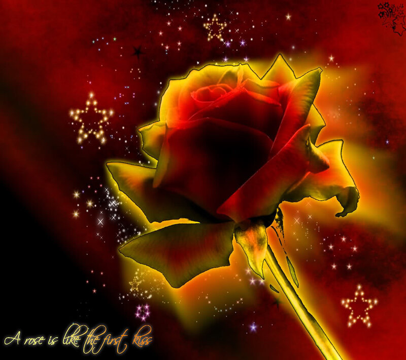 Red Rose with Stars