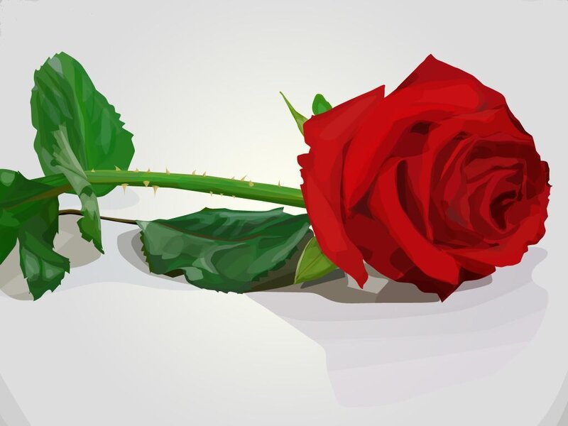 Red Rose with Stem