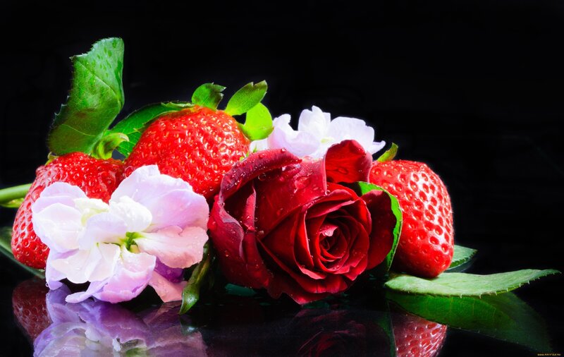 Red Rose with Strawberries