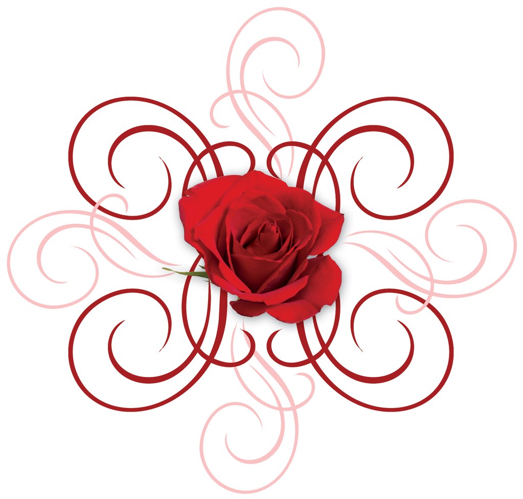 red rose with swirls