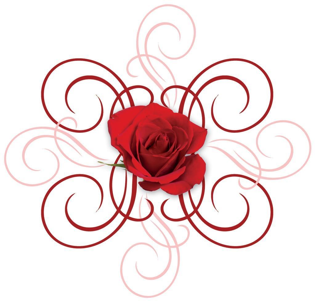 red rose with swirls