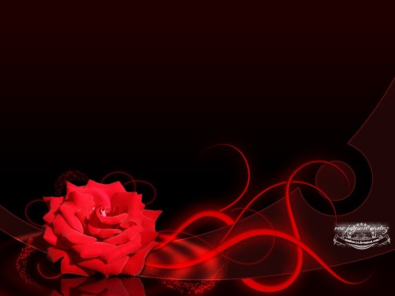 red rose with swirls