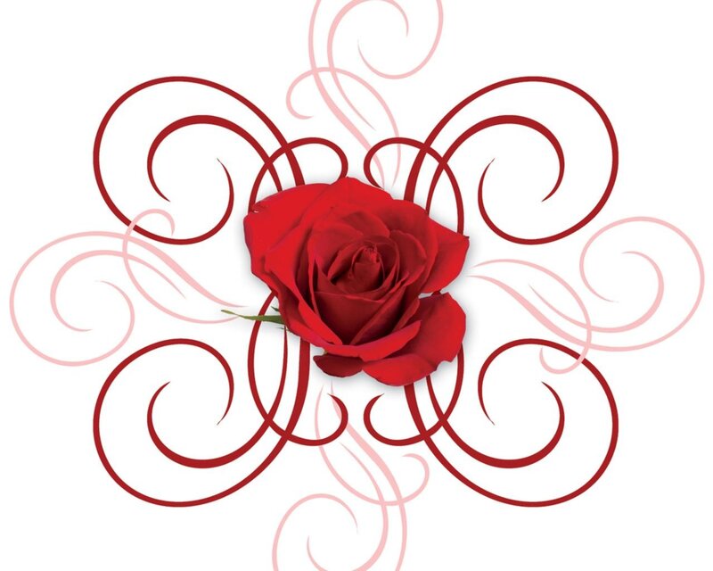 red rose with swirls