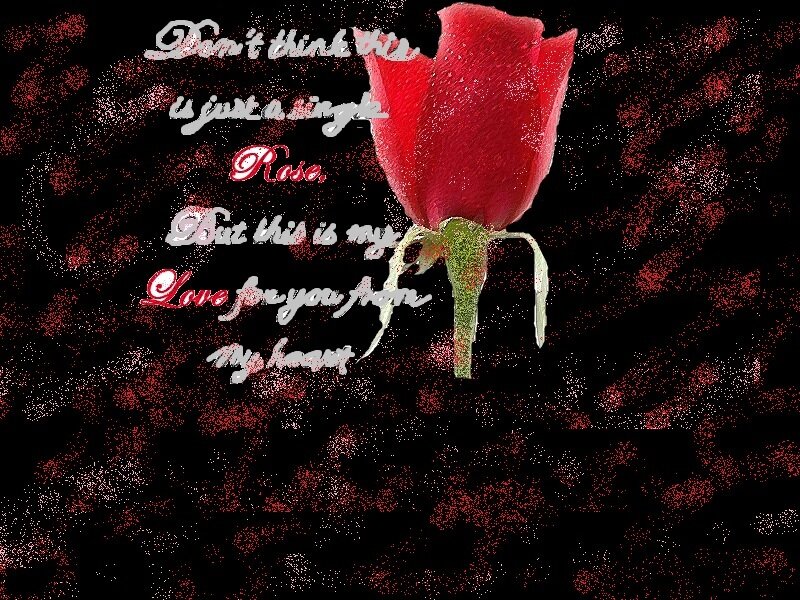 Red Rose with Text — Romantic