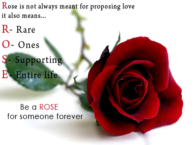 Red Rose with Text — Sentimental