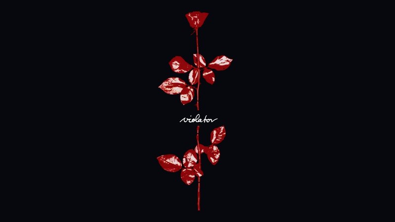 Red rose with thorns