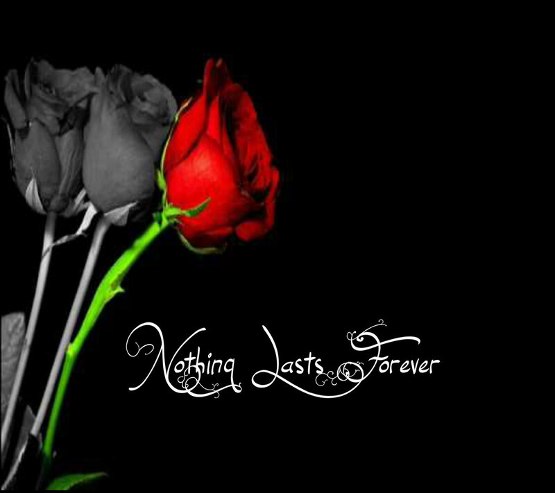 Red Rose with Two Grey Roses — Black