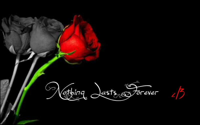 Red Rose with Two Grey Roses