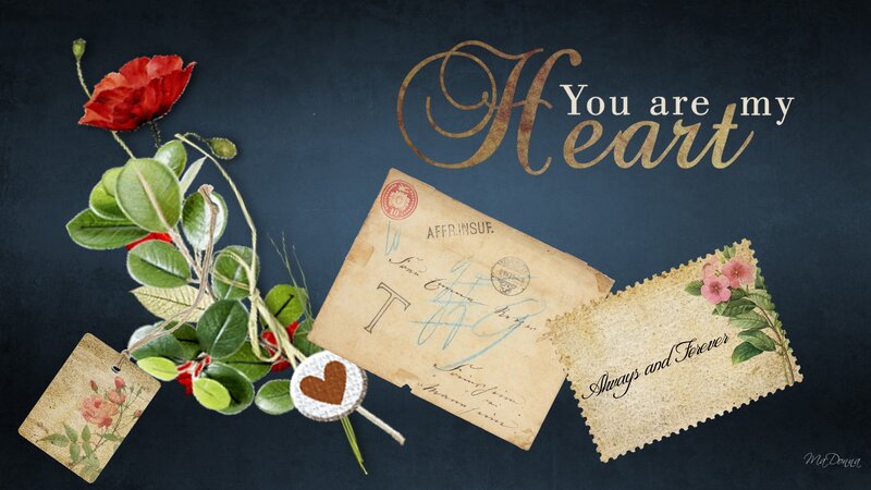 Red Rose with Vintage Letters