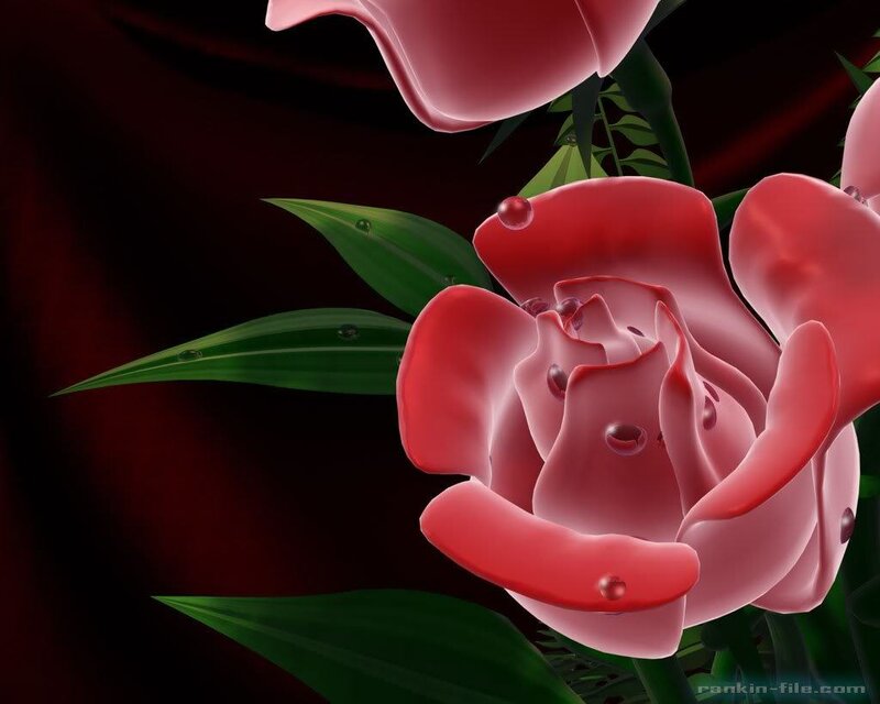 Red Rose with Water Droplets — Dramatic, 3d Render
