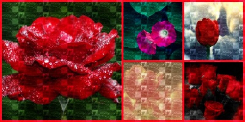 Red Rose with Water Droplets — Dramatic, Digital Art, Flower