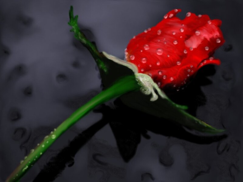 Red Rose with Water Droplets — Dramatic, Digital Art, Stem