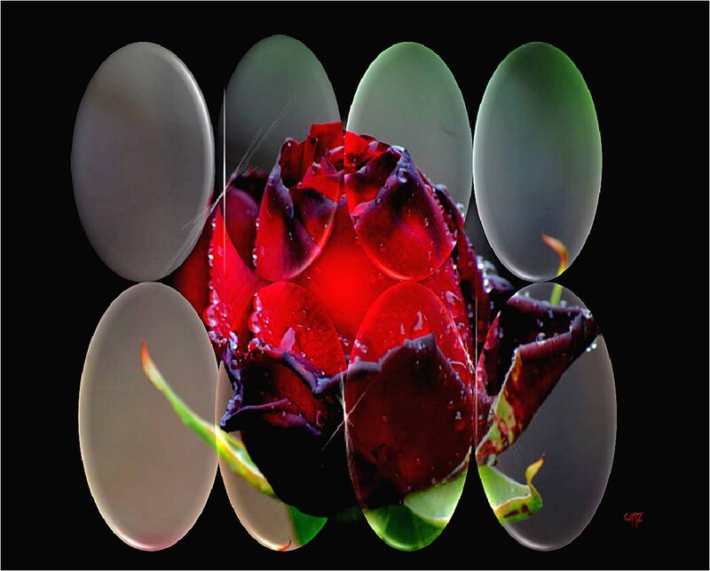 Red Rose with Water Droplets — Dramatic, Digital Art, Water Droplets, Green Leaves