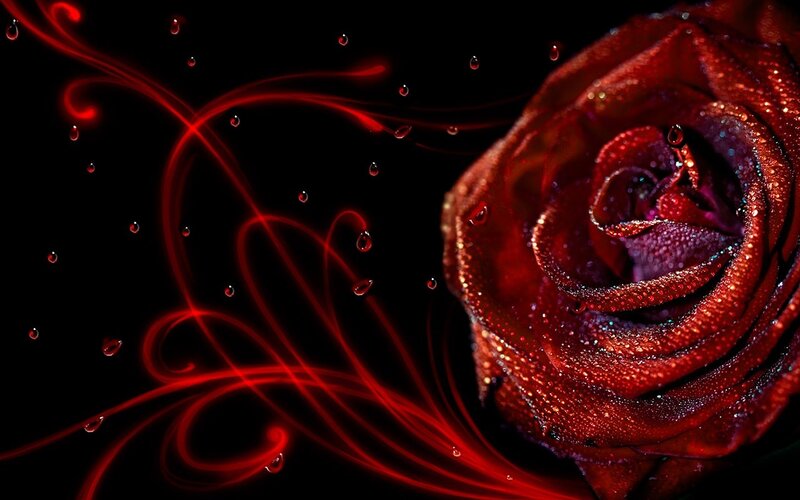 Red Rose with Water Droplets — Dramatic, Digital Art, Water Droplets, Light Streaks