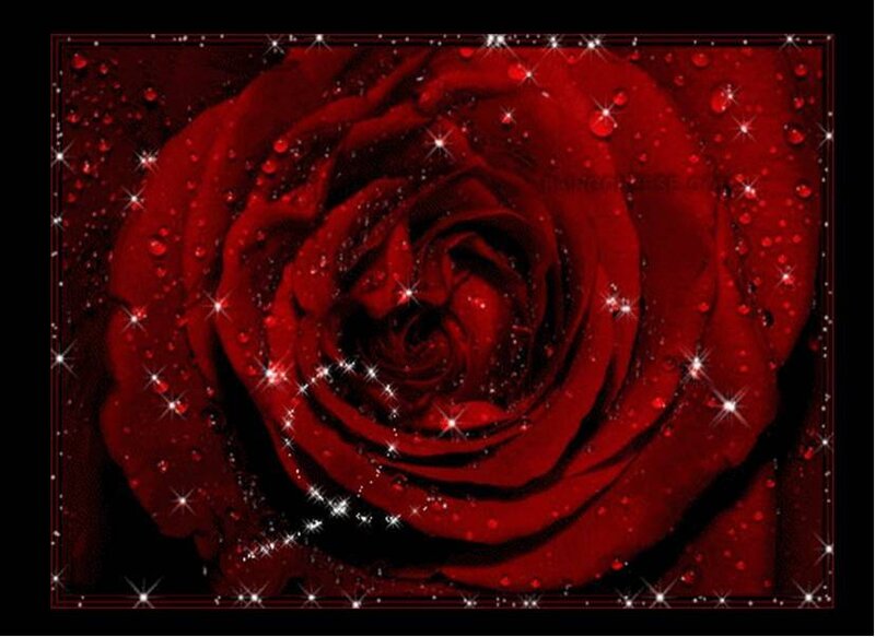 Red Rose with Water Droplets — Dramatic, Digital Art, Water Droplets, Sparkles
