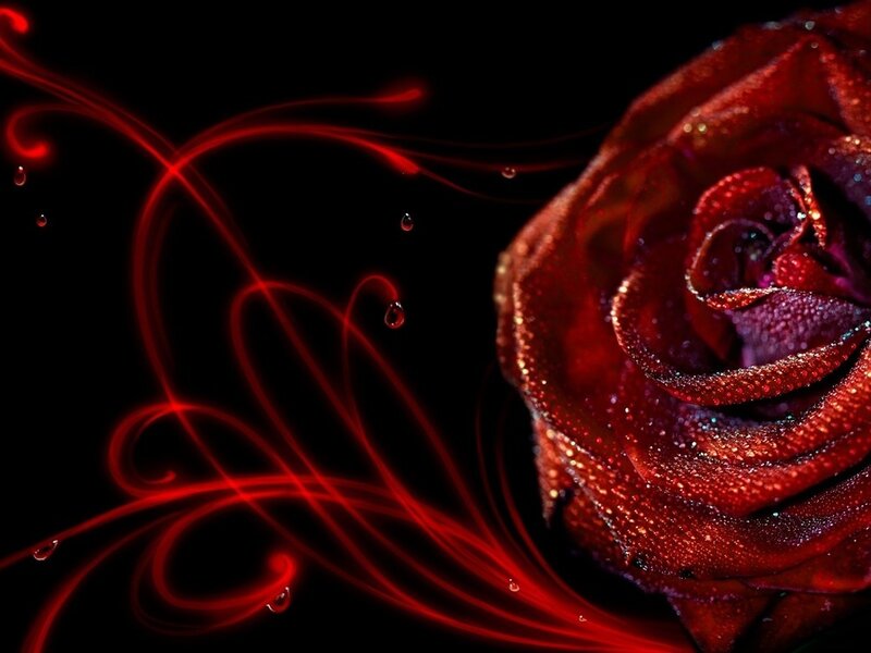 Red Rose with Water Droplets — Dramatic, Digital Art, Water Droplets