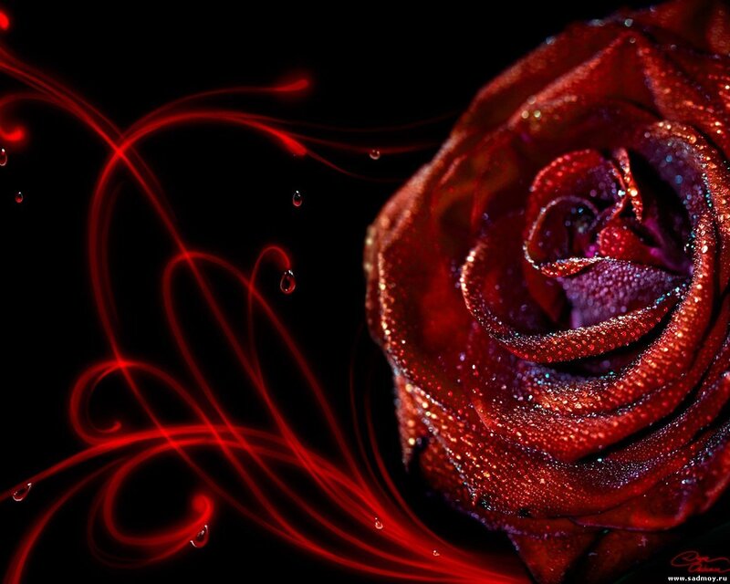 Red Rose with Water Droplets — Dramatic, Night, Digital Art