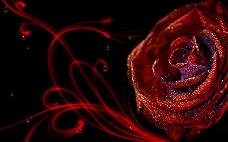 Red Rose with Water Droplets — Dramatic, Night, Digital Art, Water Droplets