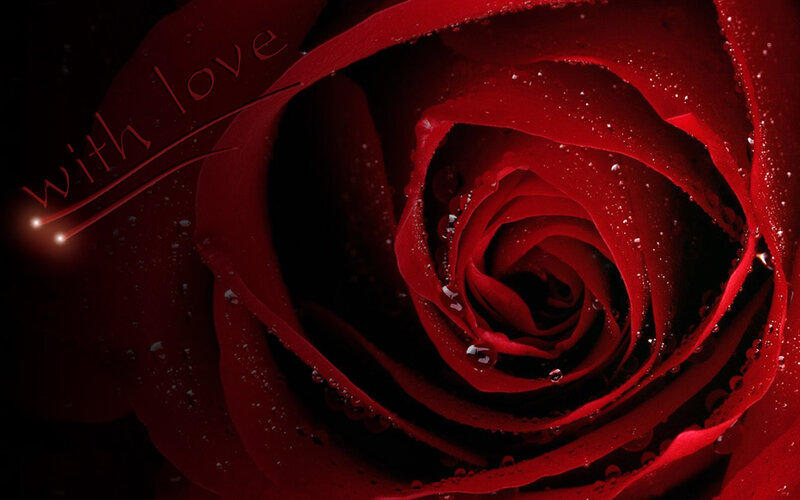Red Rose with Water Droplets — Dramatic, Photograph, Water Droplets, Text