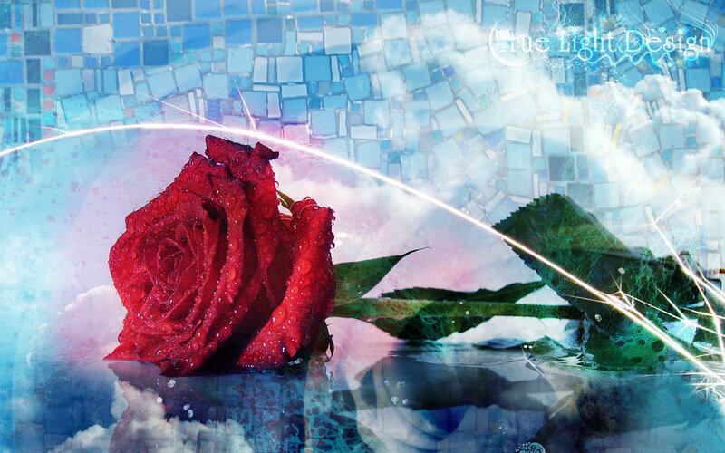 Red Rose with Water Droplets — Dreamy, Digital Art, Water Droplets, Light Streaks
