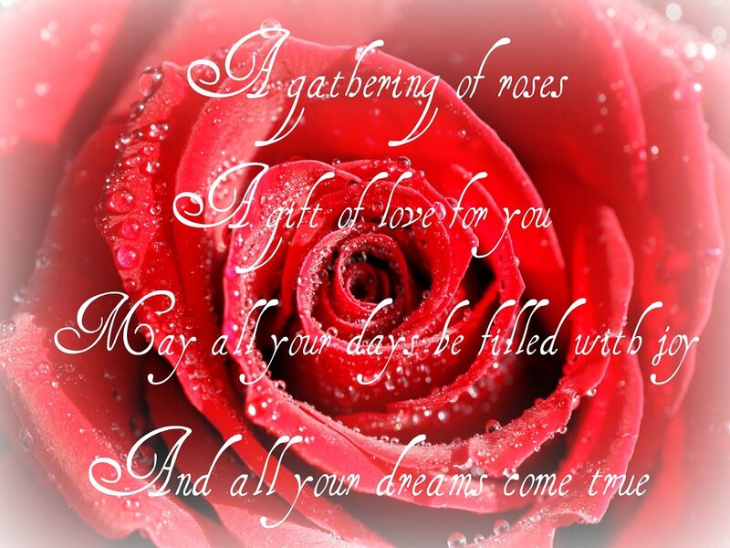 Red Rose with Water Droplets — Romantic, Photograph, Text