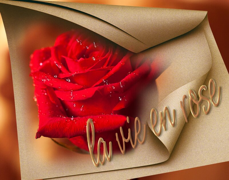 Red Rose with Water Droplets — Romantic, Photograph