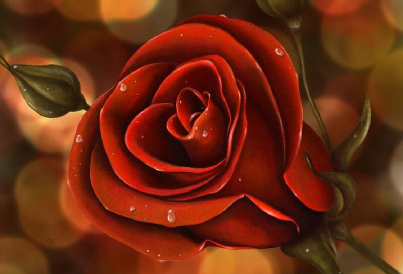 Red Rose with Water Droplets — Serene, Digital Art