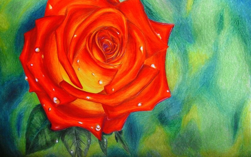 Red Rose with Water Droplets — Vibrant, Painting
