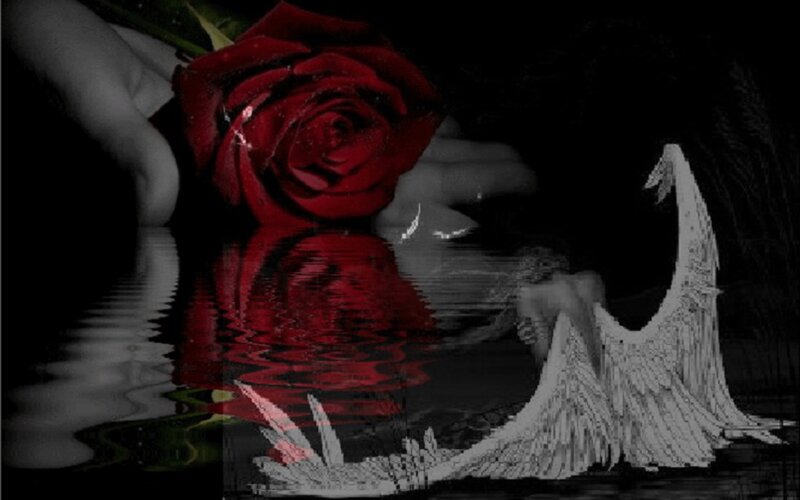 Red Rose with Wings