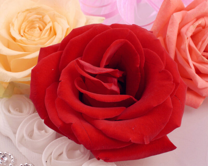 Red Rose with Yellow and Pink Roses