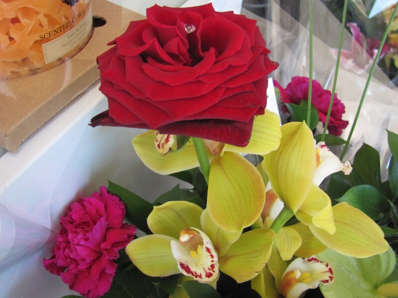 Red rose with yellow orchids