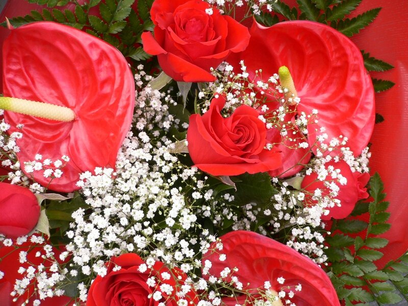 Red Roses and Anthuriums