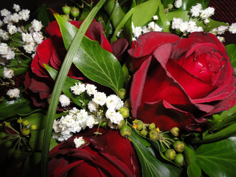Red Roses and Baby's Breath — Calm, Photograph, Green Leaves
