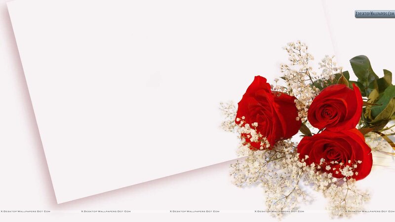 Red Roses and Baby's Breath — Calm